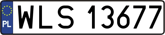WLS13677
