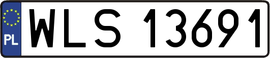WLS13691
