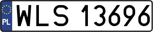 WLS13696