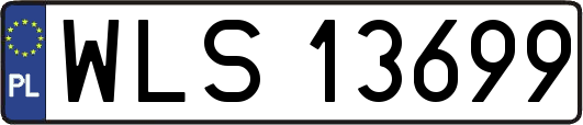 WLS13699