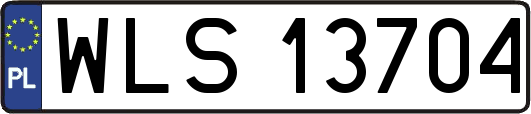 WLS13704