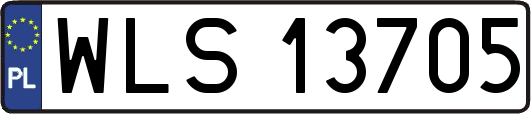WLS13705
