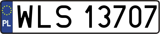 WLS13707