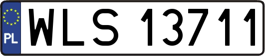 WLS13711
