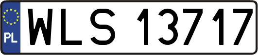WLS13717