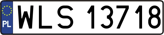 WLS13718