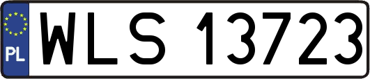 WLS13723