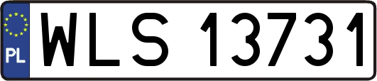 WLS13731