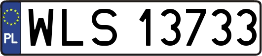 WLS13733