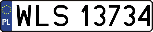 WLS13734