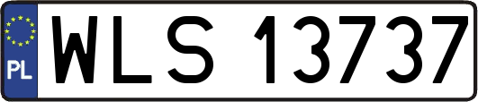 WLS13737