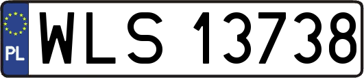 WLS13738