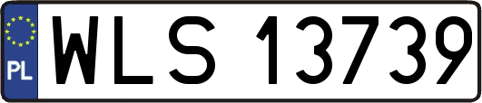 WLS13739