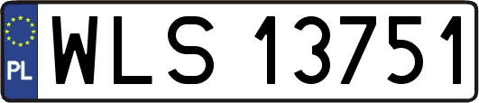 WLS13751