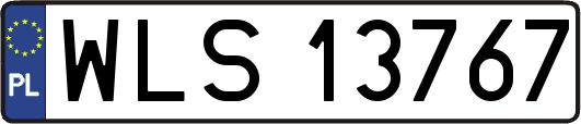 WLS13767