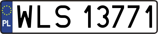 WLS13771