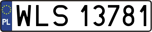 WLS13781