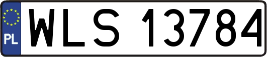 WLS13784