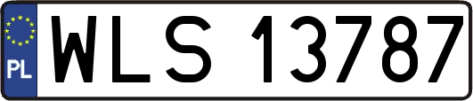 WLS13787
