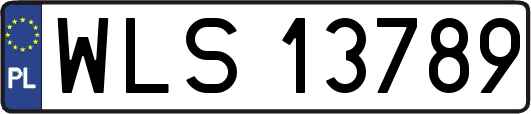 WLS13789