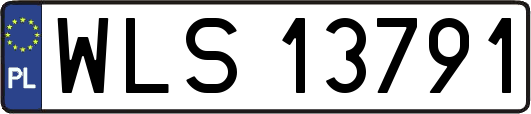WLS13791