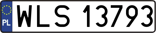 WLS13793