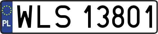 WLS13801