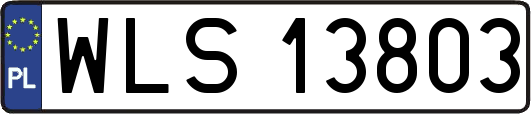 WLS13803