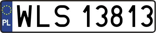 WLS13813