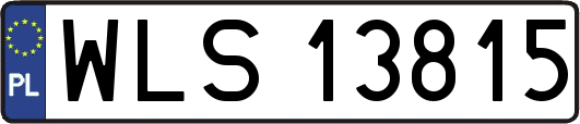 WLS13815