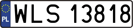WLS13818