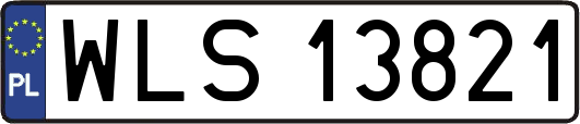 WLS13821