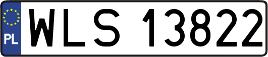 WLS13822