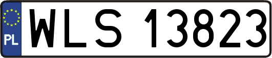 WLS13823
