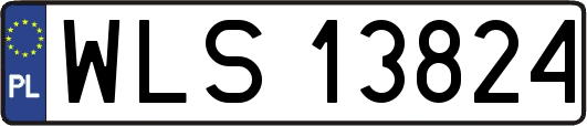 WLS13824