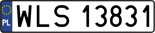 WLS13831