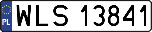 WLS13841