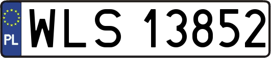 WLS13852