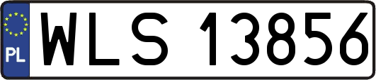 WLS13856