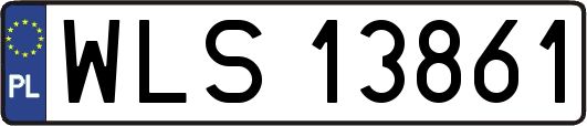 WLS13861
