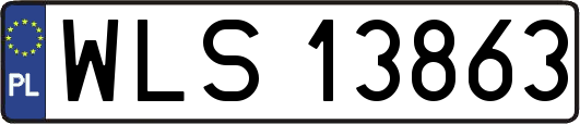 WLS13863