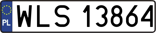 WLS13864