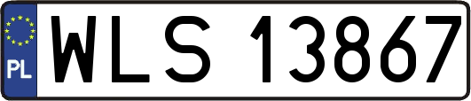 WLS13867