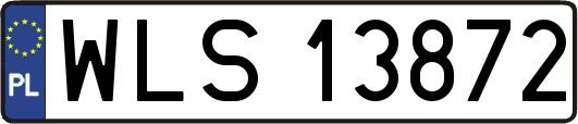 WLS13872