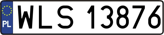 WLS13876