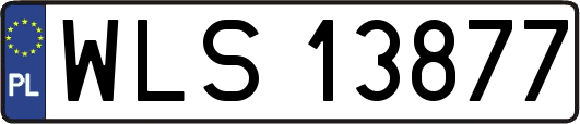 WLS13877
