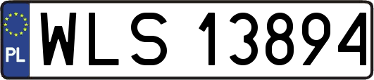 WLS13894