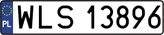 WLS13896