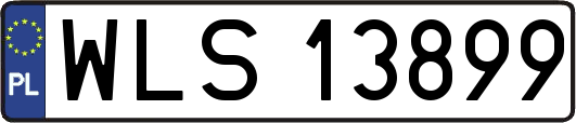 WLS13899