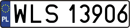 WLS13906